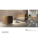 Collaboration & Sofa Reception Area