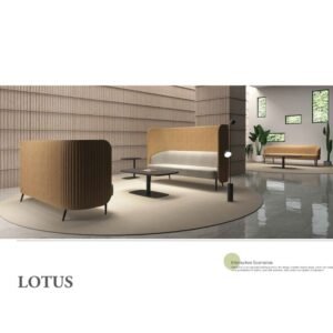 Collaboration & Sofa Reception Area